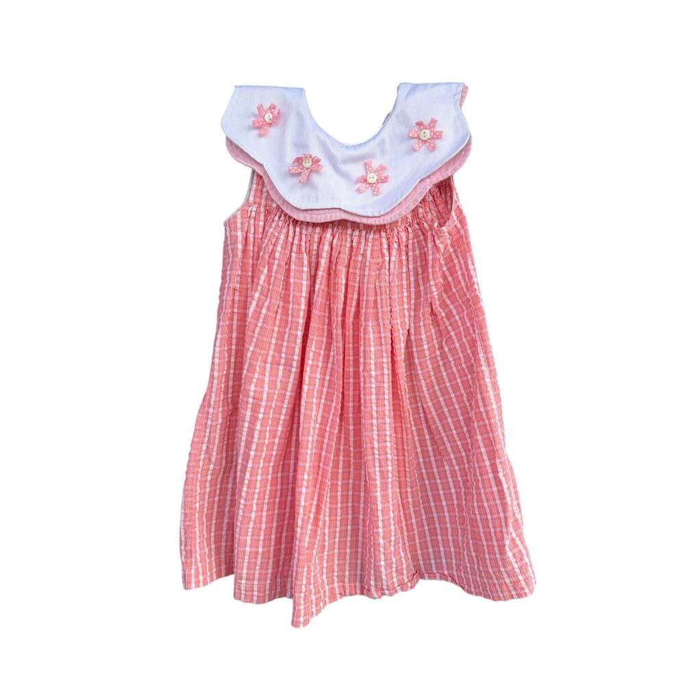 Baby Crew Product Floral Applique Gingham Collar Dress 4T